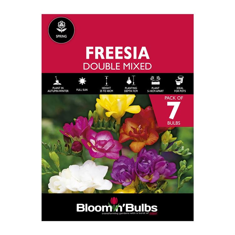 Picture of FREESIA DOUBLE MIXED 7pk