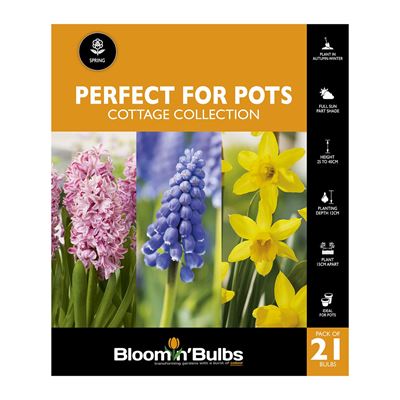 Picture of PERFECT FOR POTS - Cottage Collection 21PK